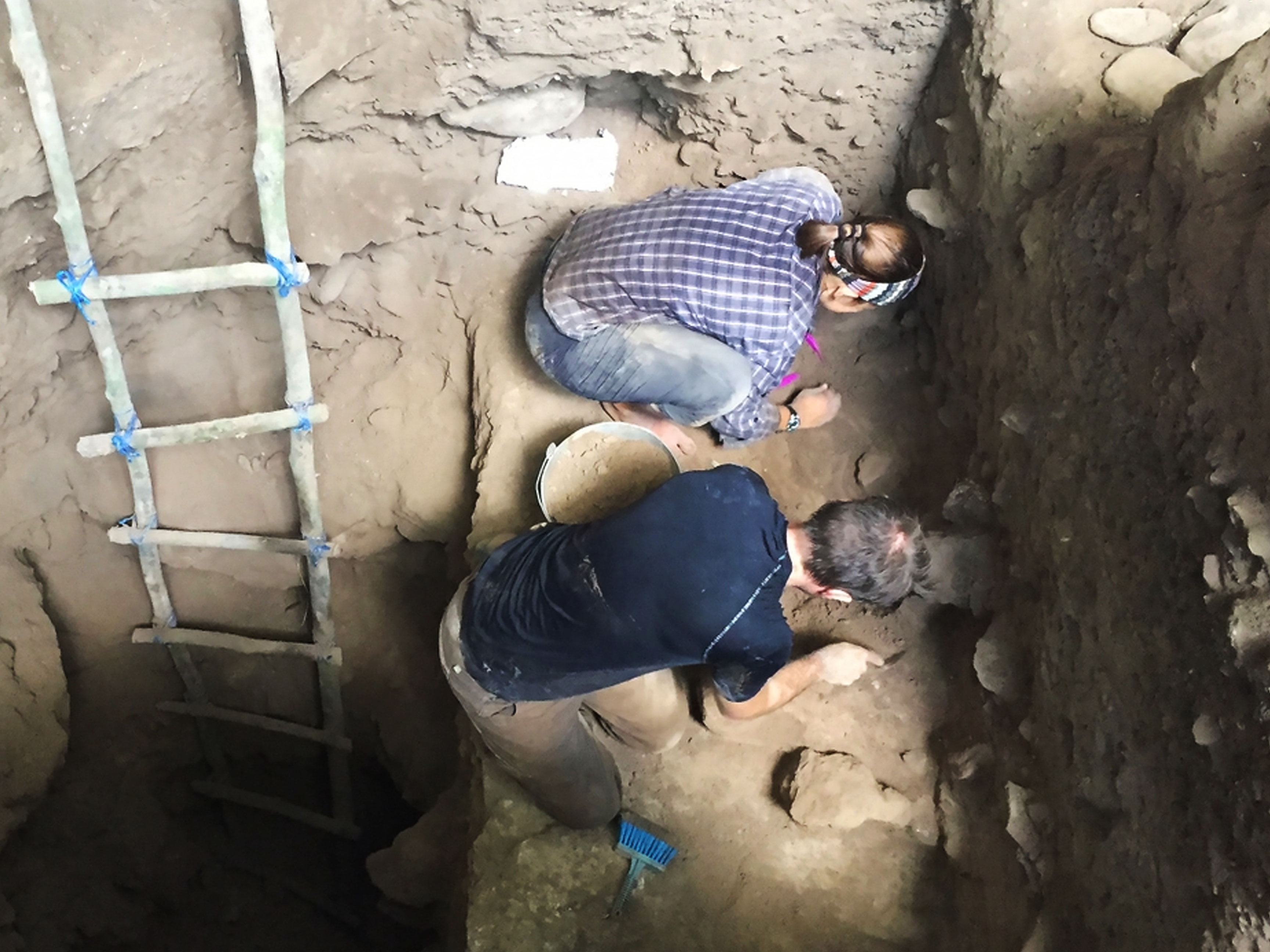 Ancient Human Population Histories Revealed in Central and South America Ancient Human Population Histories Revealed in Central and South America