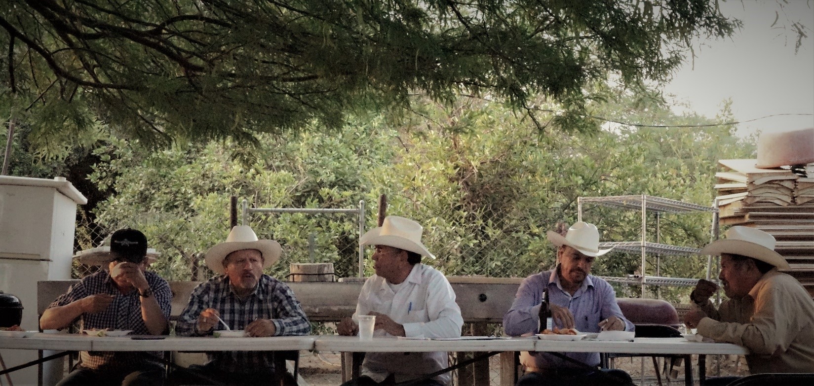 Ejido community leaders meet over ceviche and fried pufferfish to discuss political strategies for the July 2018 Mexican elections.  The group originally formed in order to resist the construction of the Constellation Brands Brewery in 2017..